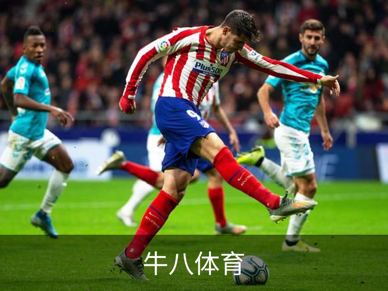企业介绍